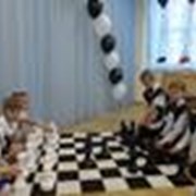 шахматы с шахматным полем король 31см