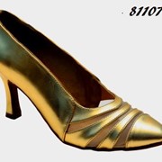 Обувь для танцев,Обувь для европейских танцев (женская ЖС). Купить обувь для танцев. Хмельницкий. Украина. фото