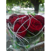 Вулкан 7 красных роз фото