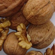 Продажа грецких орехов, семечек тыквы. фотография