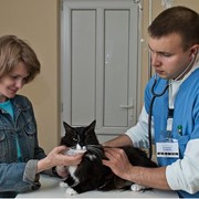 Услуги ветеринарные в Кишиневе фото