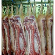 Мясо говядины на кости фотография