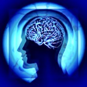 Диагностика индивидуальных адаптационных свойств фото