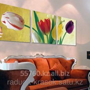 Картина по номерам Разноцветные тюльпаны фотография