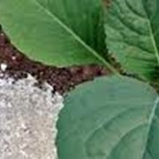 Азотные минеральные удобрения фото