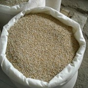 Крупа пшеничная СТО фото