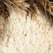 Пшеничная мука всех сортов из Казахстана, Костанай, ОПТ, ЭКСПОРТ фото
