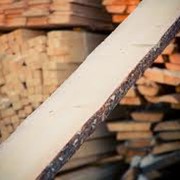 Доски обрезные, необрезные деревянные от производителя в Украине купить фото