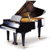 Рояль концертный Bohemia 225-R-0801 SMETANA