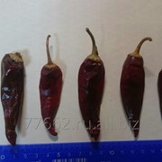 Перец красный стручковый (Чили) фото