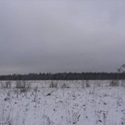 Участок возле авторынка Барыс фото