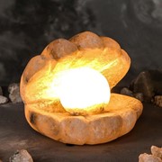 Соляная лампа 'Жемчужница', 20х19х19см, 6-7 кг