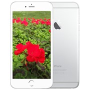 Смартфон Apple iPhone 6 16Gb Silver фотография