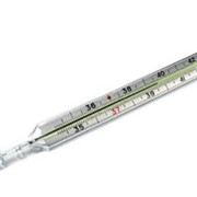 Термометры медицинские ртутные фотография