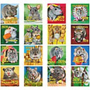 Календарь 2020 отрывной мини Элитная полиграфия “Символ года“, на гребне, КО-М фото