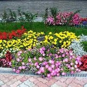 Создание цветников, Харьков фото