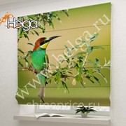 Зеленая птица арт.ТФР2335 римская фотоштора (Габардин 1v 60x160 ТФР) фото