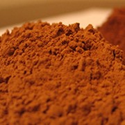 Какао-порошок натуральный GP-100-11 (Favorich)