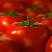 Реализация томатов, помидоров фотография