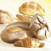 Закваска хлебная Фиделио LW 90 фото