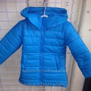 Детские куртки для девочек 92-116 электрик, код товара 123919981