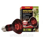 Лампа террариумная инфракрасная Exo-terra Heat Glo, 75 Вт. фото
