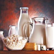 Закваски и ферменты для производства молочных продуктов фотография