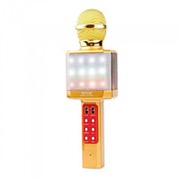 Беспроводной караоке микроофн WS-1828 (USB, microSD, AUX, FM, Bluetooth, цветомузыка) (золото) фото