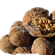 Орехи сушеные фото