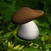 Грибы сухие, грибы маринованные фото