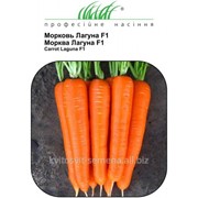 Семена моркови Лагуна F1 фото