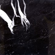 Плита мраморная (цвет черный) фото