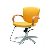 Парикмахерское кресло D Series MIO фото