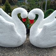 Топиарная фигура “ Лебедь белый“ фото