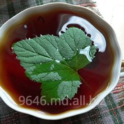 Чай из листьев смородины фото