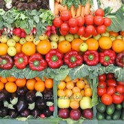 Овощи свежие на экспорт фотография