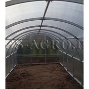 парник Ботаник ПРЕМИУМ с соединением КРАБ 8 м фото