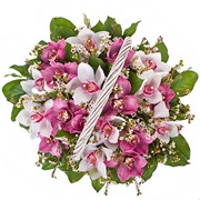 Цветочные корзины орхидеи розовые