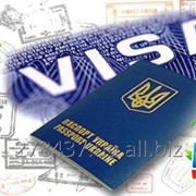 Шенгенские и польские визы