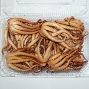 Гигантский кальмар копченый. Щупальца кальмара горячего копчения. Копчение щупалец кальмара. Щупальца кальмара горячего копчения. Щупальца кальмара копченые.