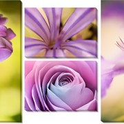 Модульная картина Фиолетовые цветы , Неизвестен фото