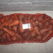 Морковь сорта «Шантане» фото
