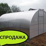 Теплица Сибирская 20Ц-0,5, 6 м. Шаг дуги-0,5м + форточки Автоинтеллект фото