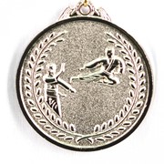 Медаль карате - серебро фото
