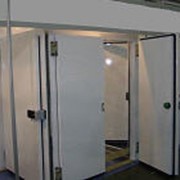 Двери распашные для холодильных и морозильных камер фото
