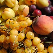 Сезонные фрукты фото