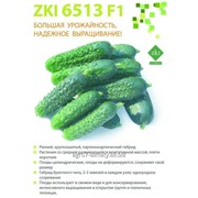 Семена огурца ZKI 6513 F1 / ЗКИ 6513 F1