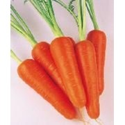 Семена моркови Абако F1 200000 шт.