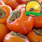 Хурма Bukhara Agro Export