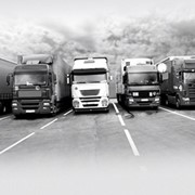 Автомобильная превозка фруктов фото